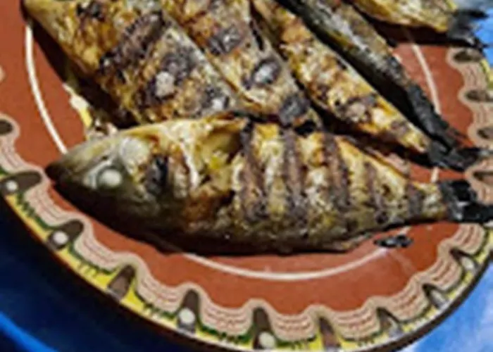 варвара- ятрус