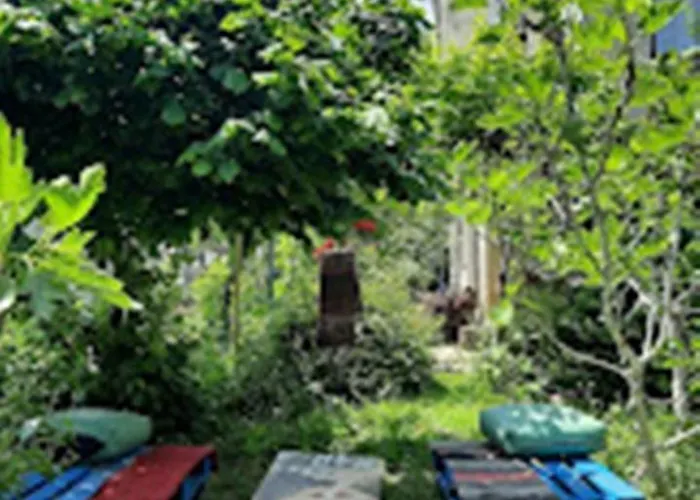 варвара- ятрус Varvara (Burgas)