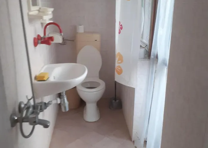 варвара- ятрус *