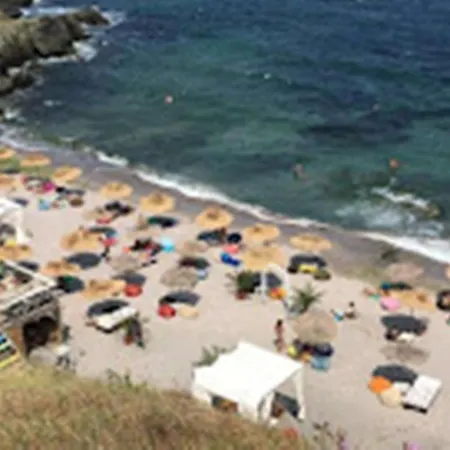 Проживание в семье варвара- ятрус Варвара