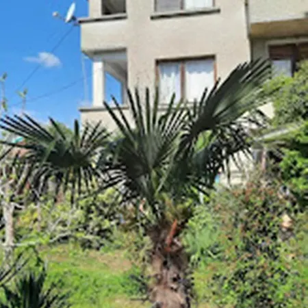 Проживание в семье варвара- ятрус Варвара