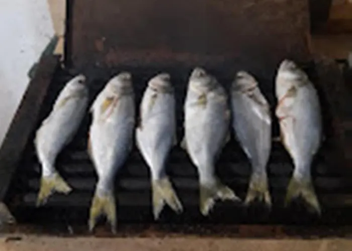 Частна квартира варвара- ятрус Варвара